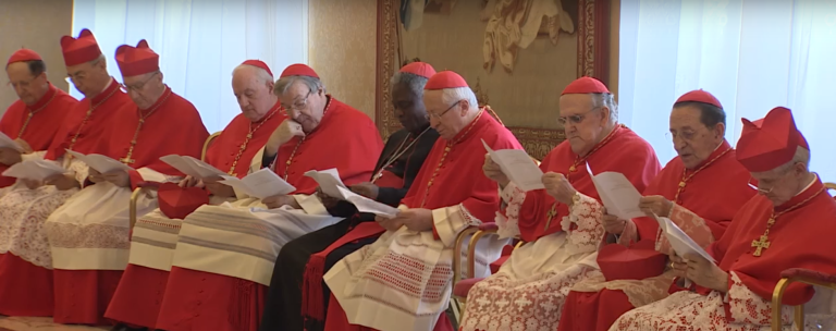 Các Đức Hồng y trong công nghị tại Vatican, Giáo hội thế kỷ XX